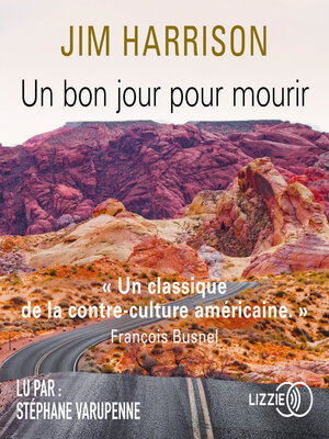 cover image of Un bon jour pour mourir